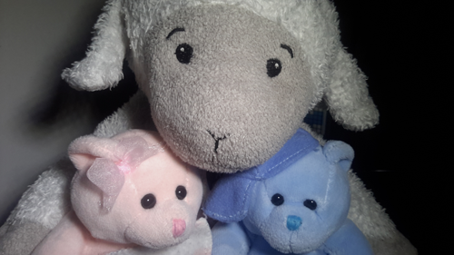 Sheep and The Bears hijacked Bob's tablet. I know nothing of their late night antics...